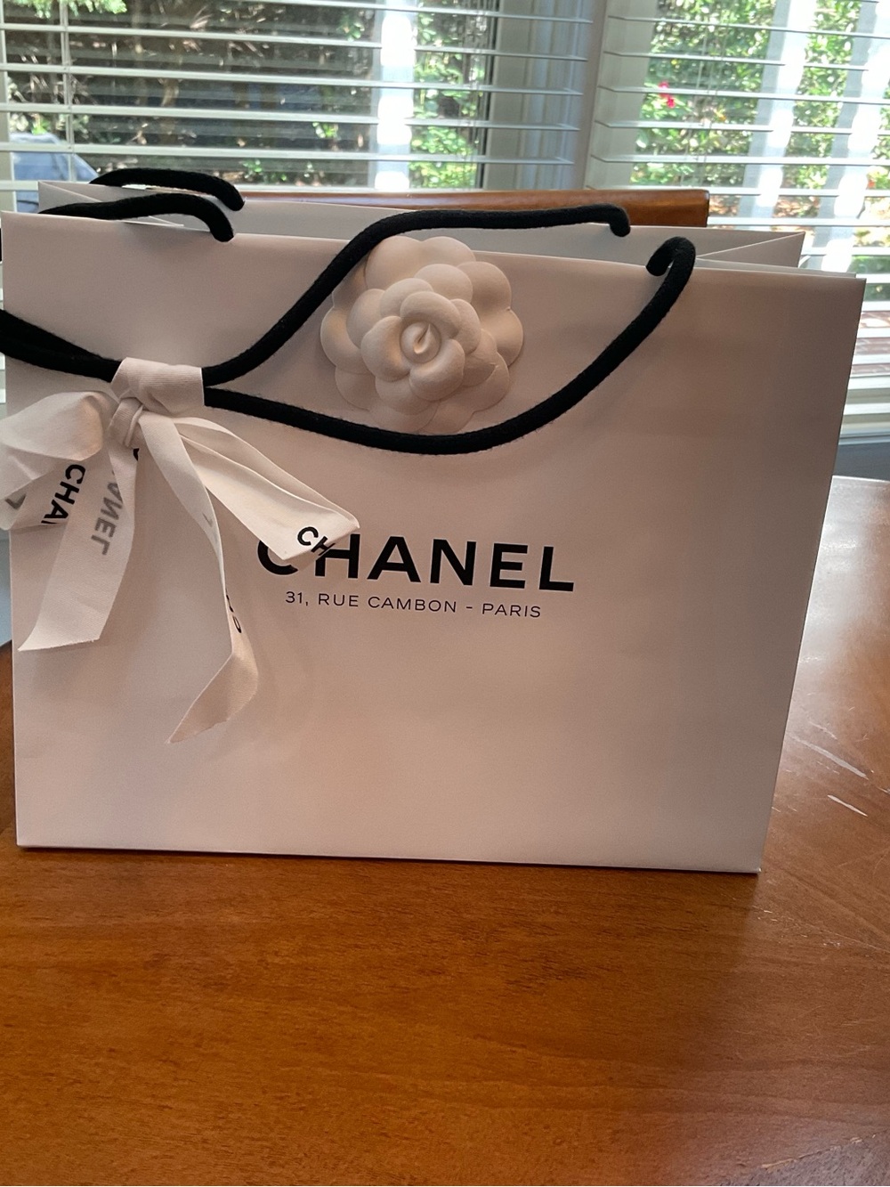 CHANEL Gift Bag from Chanel Paris AUTHENTIC NWT